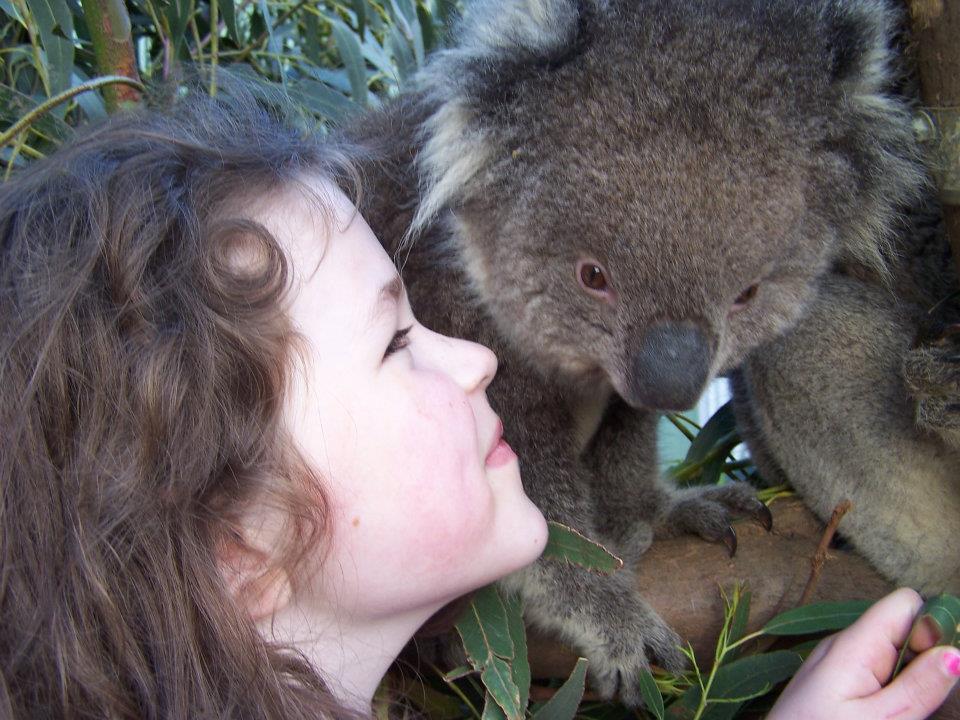 Fauna Australia Wildlife Retreat Lavers Hill Eksteriør bilde