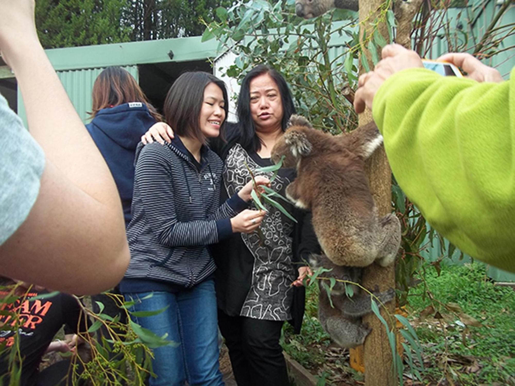 Fauna Australia Wildlife Retreat Lavers Hill Eksteriør bilde