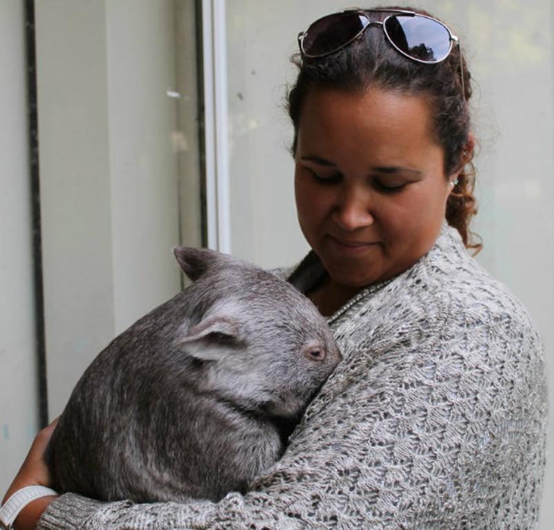Fauna Australia Wildlife Retreat Lavers Hill Eksteriør bilde