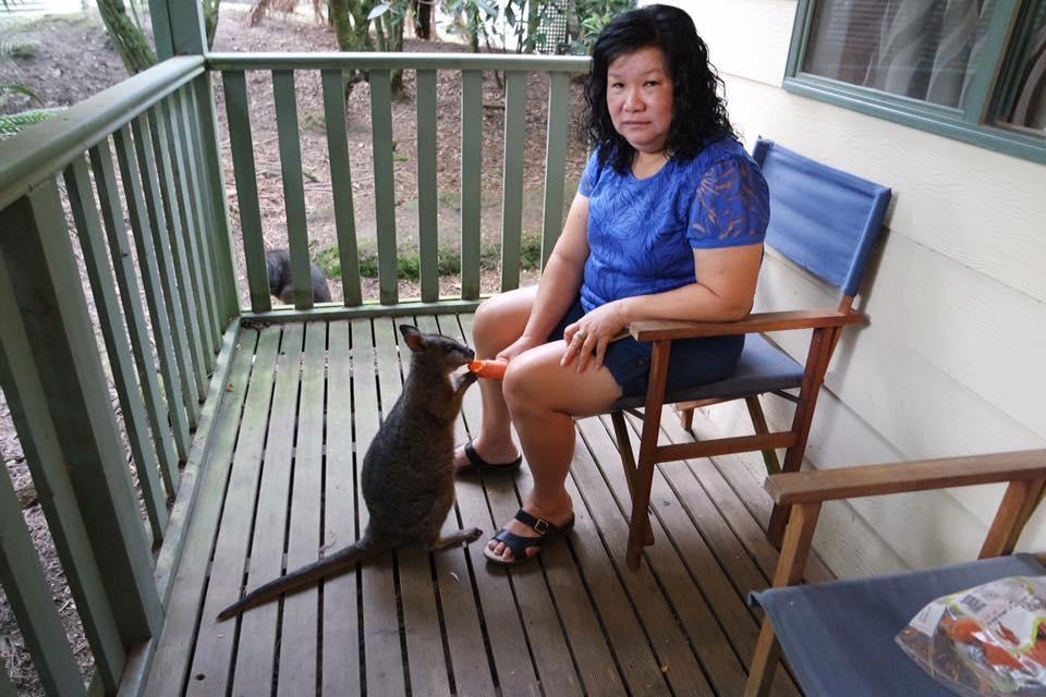 Fauna Australia Wildlife Retreat Lavers Hill Eksteriør bilde