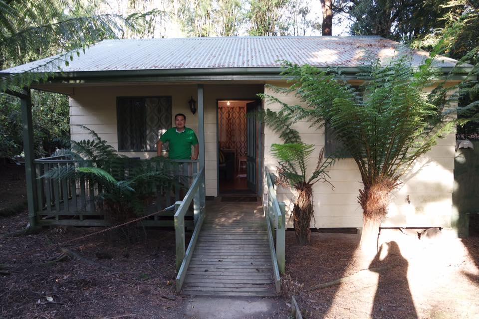 Fauna Australia Wildlife Retreat Lavers Hill Eksteriør bilde