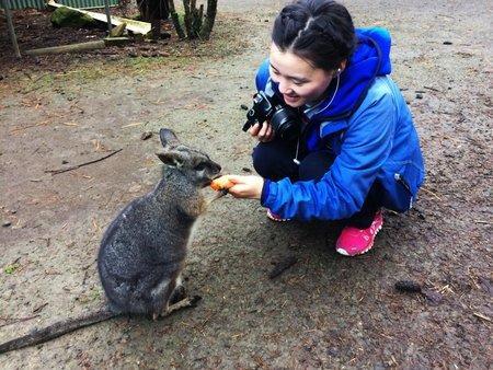 Fauna Australia Wildlife Retreat Lavers Hill Eksteriør bilde