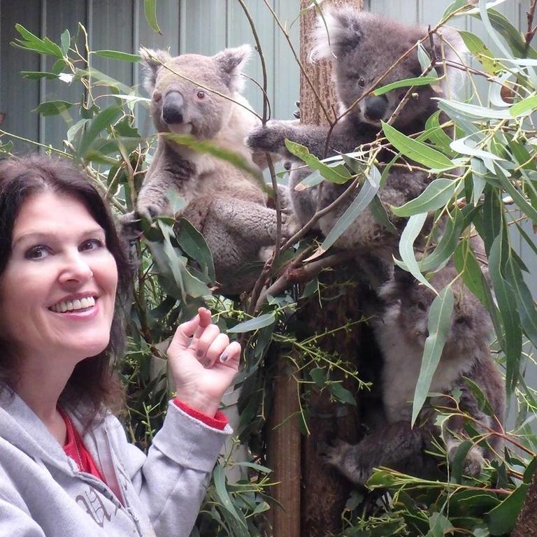 Fauna Australia Wildlife Retreat Lavers Hill Eksteriør bilde