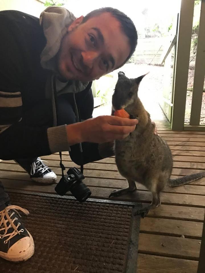Fauna Australia Wildlife Retreat Lavers Hill Eksteriør bilde