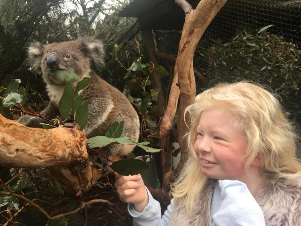 Fauna Australia Wildlife Retreat Lavers Hill Eksteriør bilde